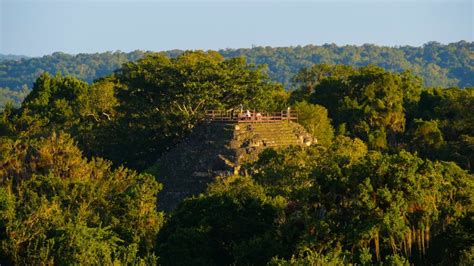 Taakkojen Toiminta 1000-luvun Yucatánissa: Maya-Sivilisaation Uudelleen Kohdentuminen ja Kulta-Ajan Loppu